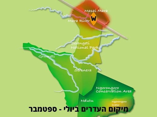 מפת סרנגטי עם דגש על החלק הצפוני